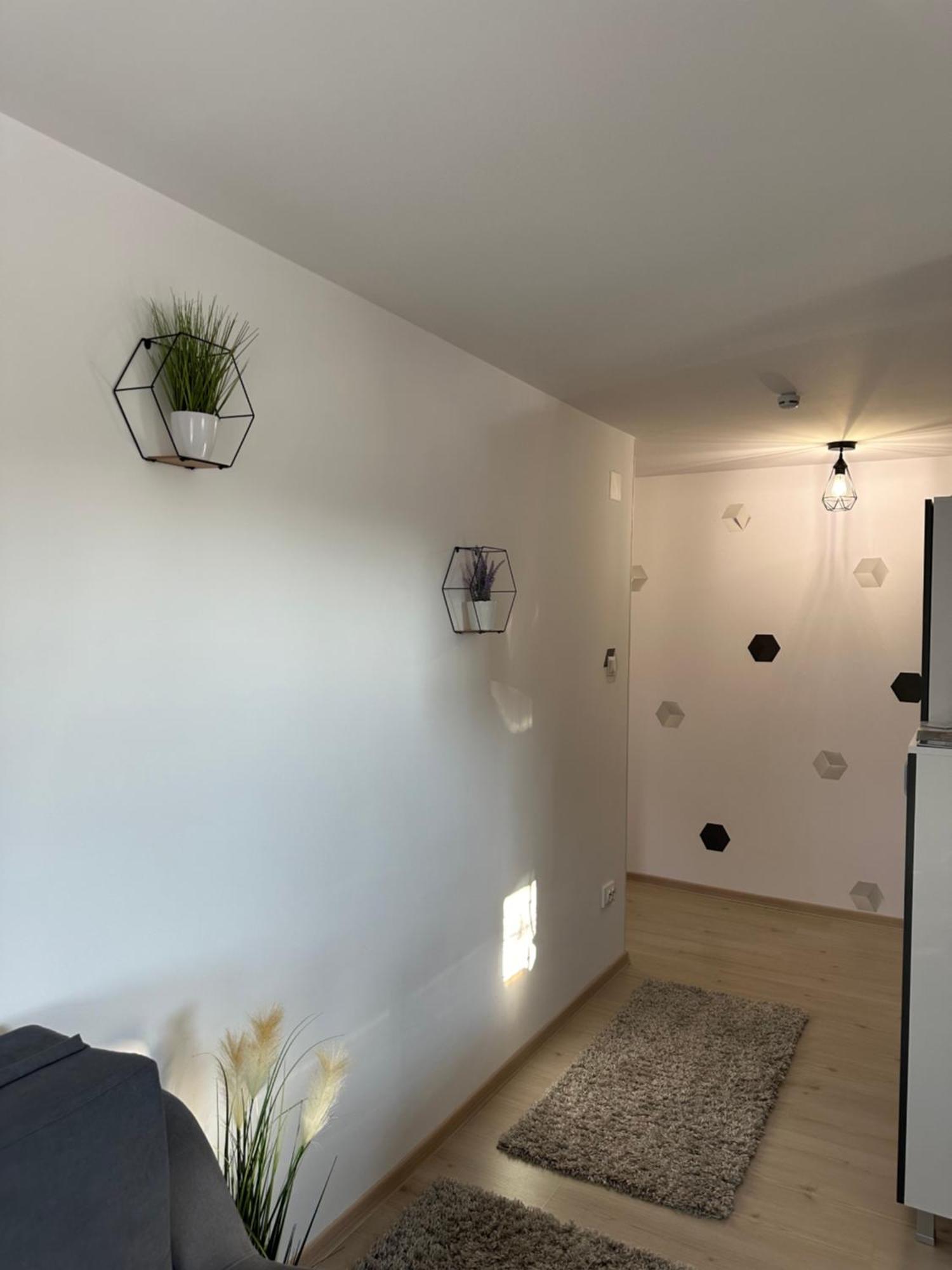 Jokai Apartments Nr7, Code Entry Sfântu-Gheorghe Zewnętrze zdjęcie